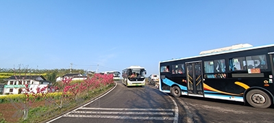 02.jpg